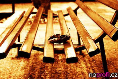 naprofil_00207[1]